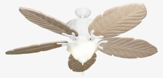 Spacious Palm Leaf Ceiling Fan Blades Of Blade Glamorous - 40 Ceiling Fans With Light #5484186