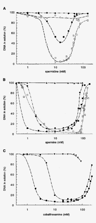 Dna Precipitation By Spermidine , Spermine (b), And - Diagram #5484771