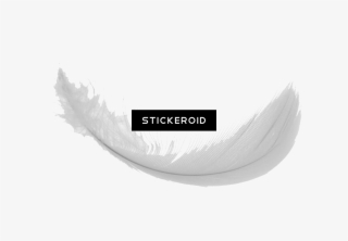 Feather S - Monochrome #5485069