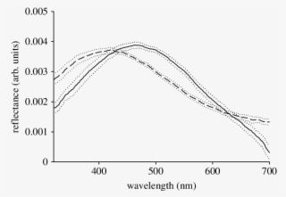 Reflectance Spectra Of Feathers From The Nuptial Plumage - Common Fig #5485125