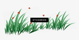 Grass Green Grass - Portable Network Graphics #5486104