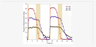 Angular Displacement Of The Index Finger In Design - Angular Displacement #5488158