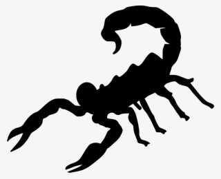 Download Png - Cartoon Scorpion #5492715