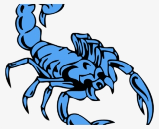Scorpion Tattoo #5492777