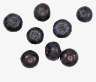 Organic Blueberries - Bilberry #5493507