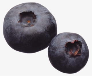 Blueberry Png #5493590