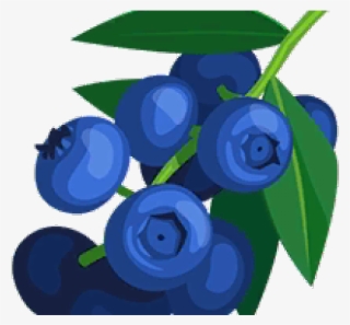 Blueberry Cliparts - Blueberry #5493948