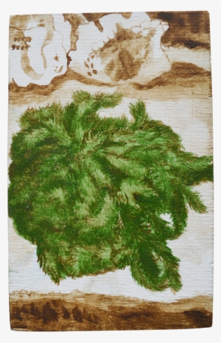 Moss #5494899