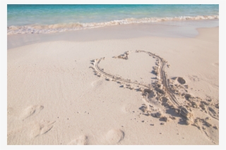 Dominique Lamb Ceo Nra Australia - Singing Sand #5495248