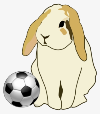 Bunny - Lop Rabbit Throw Blanket #5496688