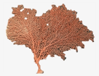 Sold Times - Sea #5497026