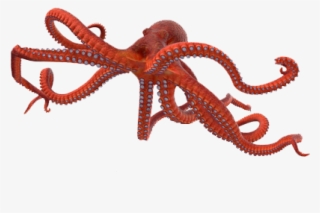 Octopus Png Photo Background - Octopus #5498503