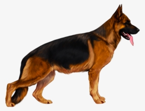 Drawing Dark German Shepherd - German Shepherd Transparent Png #550643
