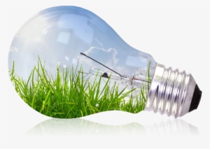 Bulb - Energy #551230