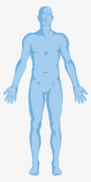 Banner Royalty Free Library Transparency Pricing Program - Body Transparency #551728