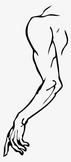 Part, Left, Outline, Hand, Human, Cartoon, Free, Body - Arm Clip Art #551779