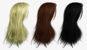 Hair Png's 04 By Thy Darkest Hour On Deviantart - Long Hair Side Png #551803
