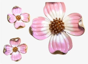 Dogwood Vector Watercolor - Library #552247