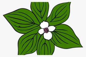 Dogwood Vector Watercolor - Rainforest Plants Clip Art #552281