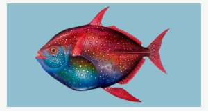 Sailfin Art - Home #552375