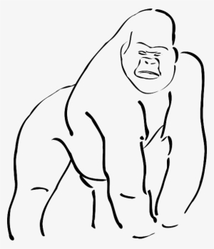 Simple, Outline, Body, Art, Long, Gorilla, Limbs, Limb - Sketch Of A Gorilla #552451
