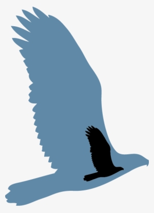 Scars Of War Foundation Was Established In December - Hawk #552944