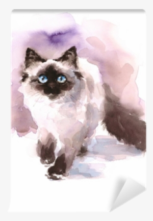 Watercolor Siamese Ragdoll Cat Walking Looking Up Hand - Watercolor Paintings Of Birman Cats #553097
