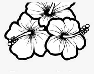 Hibiscus Drawing #553356