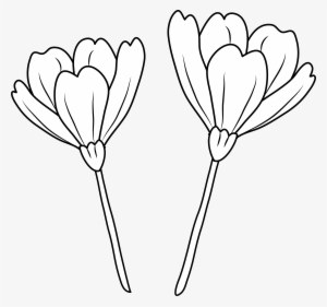 Petal Clipart Poppy Petal - Line Art #553701