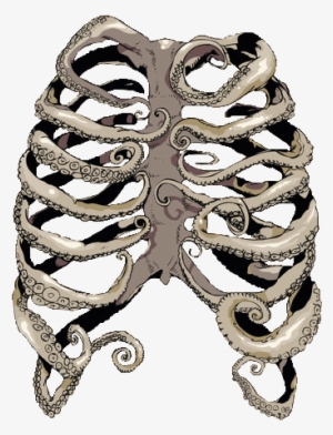 Octopus Rib Cage #554433