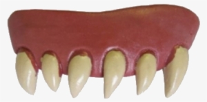 Horror Teeth Dentures - Creative Teeth Animal Original #554460