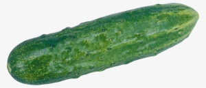 Belt Transparent Png Sticker - Cucumber Transparent #554986