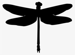 Graphic Black And White Library Silhouette Clip Art - Dragonfly Silhouette #555140