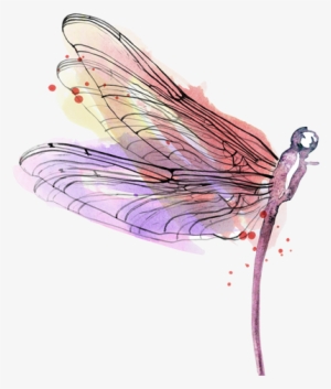 Https - //www - Marytorrey - Com/how - To - Book% - .com #555223