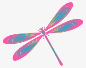 How To Set Use Dragonfly In Flight Blue Green Pink #557896