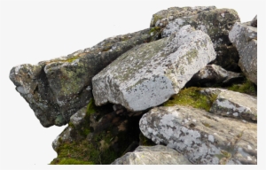 Free You're Mind #558214