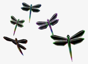 Neon Dragonfly Swarm - Wikia #558340