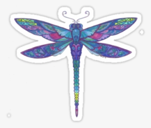 'dragonfly Sticker By Bobbysox - Coloring Book #558871