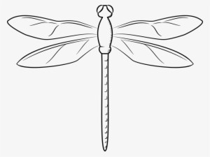 Swamp Vector Dragonfly Graphic Library - Dragonfly White Png #559254