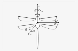 Sketch Map Of The Dragonfly - Technical Drawing #559388