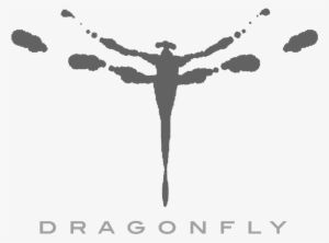 Dragonfly-logo #559461