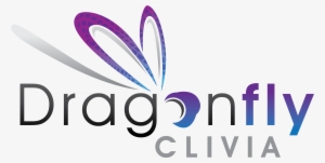 Graphic Design #559562