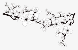 Header-flowers - Black And White Flower Png #559812