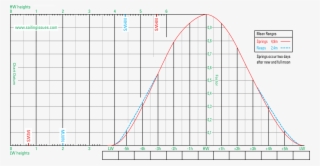 Using The Tidal Curve To Find Height Of Tide - Tide #5500634