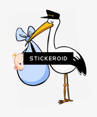 Stork Animals #5502072 Stork Animals #5502072