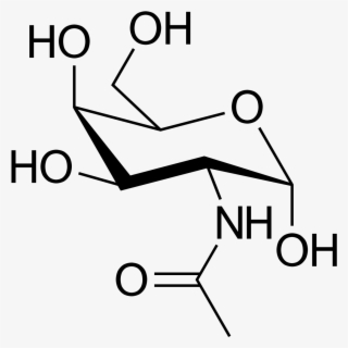 Methyl Aspartic Acid #5504365
