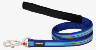 Product Codes #5504996