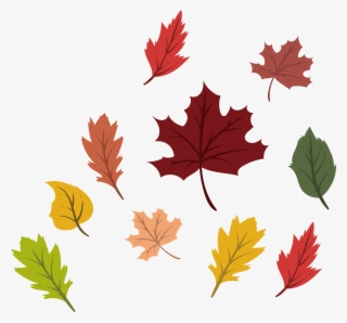 Png Black And White Maple Leaf Deciduous Leaves Transprent - Colorful Autumn Leaves Png #5506628