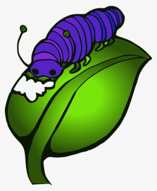 Chalkboard Sign Clipart - Catterpillar #5506868