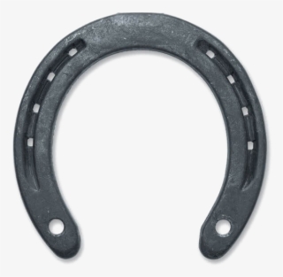 Horseshoe Png Image Transparent - Front Shoes For Horses #5507346